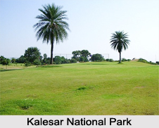 Kalesar National Park, Yamunanagar District, Haryana
