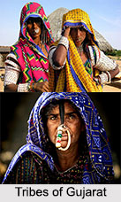 Tribes of Gujarat