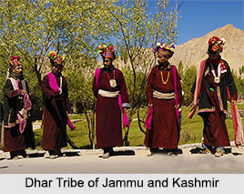 Tribes of Jammu and Kashmir