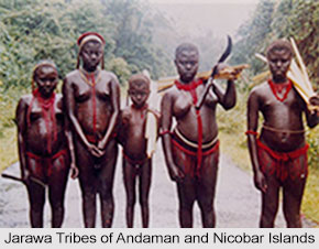 Tribes of Andaman and Nicobar Islands