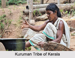 Tribes of Kerela