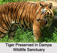 Dampa Tiger Reserve, Mizoram