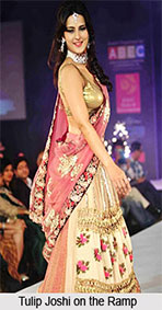 Tulip Joshi, Indian Movie Actress
