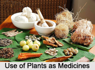 Use of Vegetables or Plants as Medicines