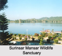 Wildlife Sanctuaries in Jammu and Kashmir