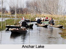 Anchar Lake, Srinagar, Jammu and Kashmir
