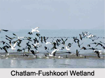 Chatlam-Fushkoori Wetland, Srinagar, Jammu and Kashmir