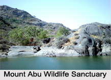 Mount Abu Wildlife Sanctuary, Aravalli range, Rajasthan,