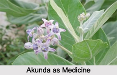 Use of Akunda as Medicines, Classification of Medicine