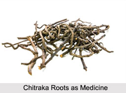 Use of Chitraka as Medicines, Classification of Medicine