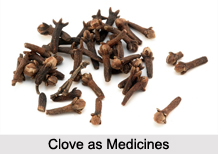 Use of Clove as Medicines, Classification of Medicine