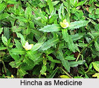 Use of Hincha as Medicines, Classification of Medicine