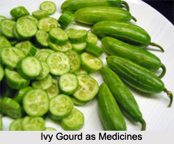 Use of Ivy Gourd as Medicines, Classification of Medicine