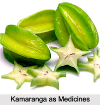 Use of Kamaranga as Medicines, Classification of Medicine