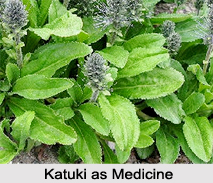 Use of Katuki as Medicines, Classification of Medicine