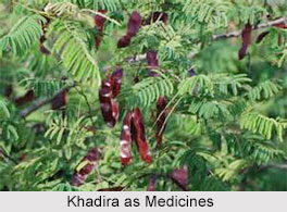Use of Khadira as Medicines, Classification of Medicine