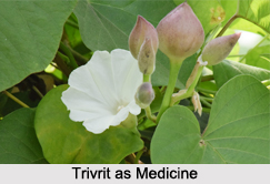 Use of Trivrit as Medicines, Classification of Medicine