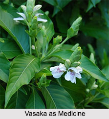 Use of Vasaka as Medicines, Classification of Medicine