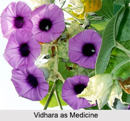 Use of Vidhara as Medicines, Classification of Medicine