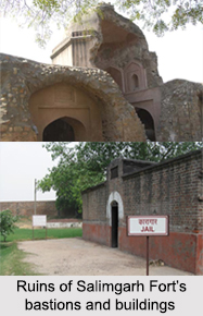 Forts in National Capital Territory of Delhi