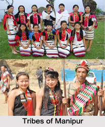 Tribes of Manipur