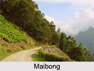 Hill Stations in Assam