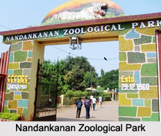 Zoos of Eastern India