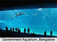Aquaria in India