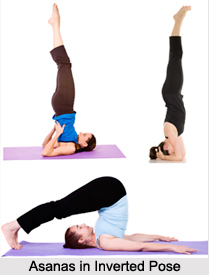 Asanas in Inverted Pose, Yoga Asanas