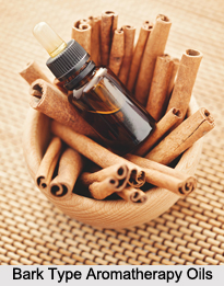 Bark Type Aromatherapy Oils, Aromatherapy