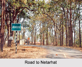 Netarhat, Latehar District, Jharkhand