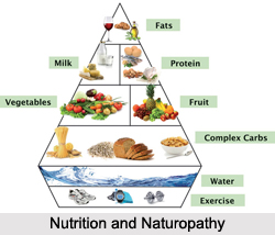 Nutrition and Naturopathy, Indian Naturopathy