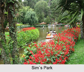 Sim’s Park, Coonoor, Tamil Nadu