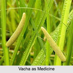 Use of Vacha as Medicines, Classification of Medicine