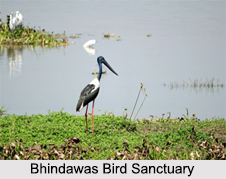 Bird Sanctuaries of Haryana