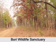 Wildlife Sanctuaries of Central India