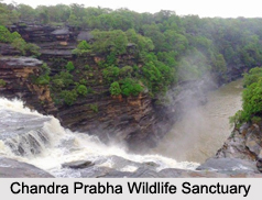 Wildlife Sanctuaries of Uttar Pradesh