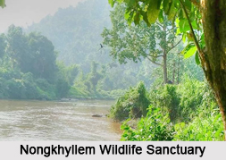 Wildlife Sanctuaries of Meghalaya