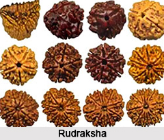 Rudraksha, Astrology