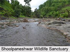 Wildlife Sanctuaries of Gujarat