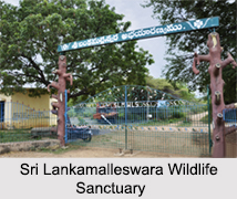 Wildlife Sanctuaries of Andhra Pradesh
