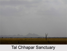 Wildlife Sanctuaries of Rajasthan