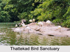 Bird Sanctuaries in Kerala