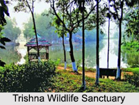 Wildlife Sanctuaries of Tripura