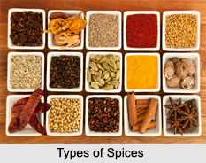 Types of Spices, Indian Food