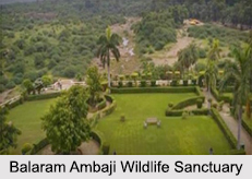 Wildlife Sanctuaries of Gujarat