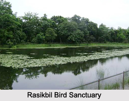 Bird Sanctuaries of West Bengal