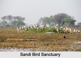 Bird Sanctuaries of Uttar Pradesh
