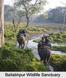 Wildlife Sanctuaries of West Bengal