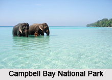 National Parks of Andaman and Nicobar Islands